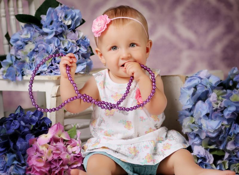 Fotografie (Jizva k narozeninám)